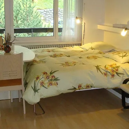Apartamento Quellenhof D04 Davos