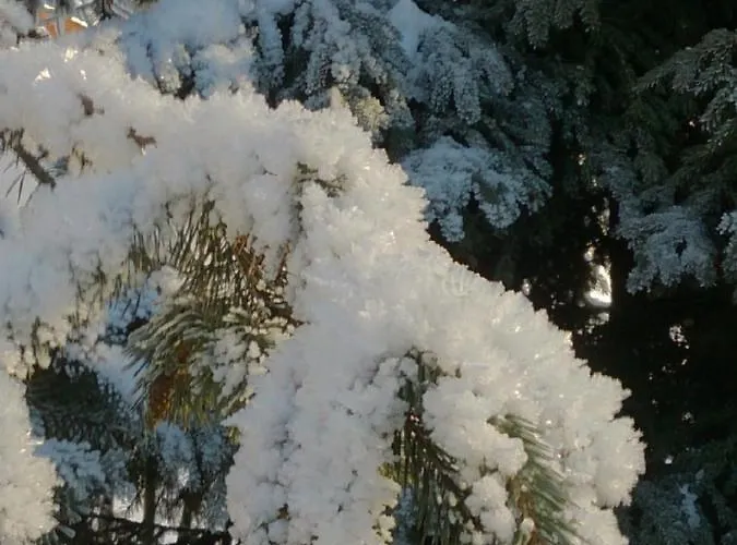 奎勒霍夫d04公寓 公寓 *