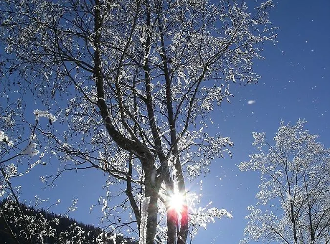 Quellenhof D04 Lejlighed Davos