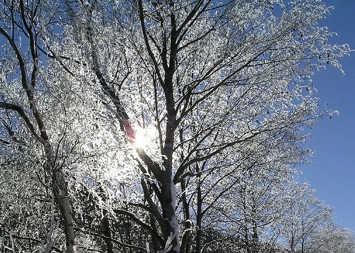 Quellenhof D04 شقة